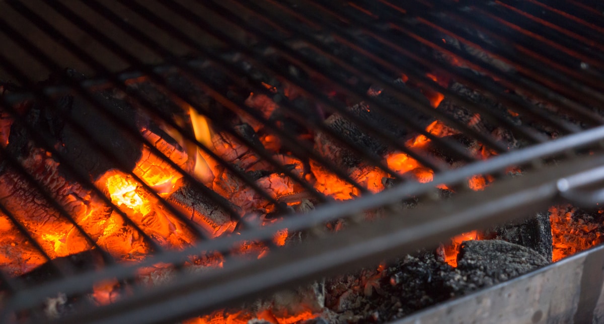 Top 5 Best Campfire Grill Grates